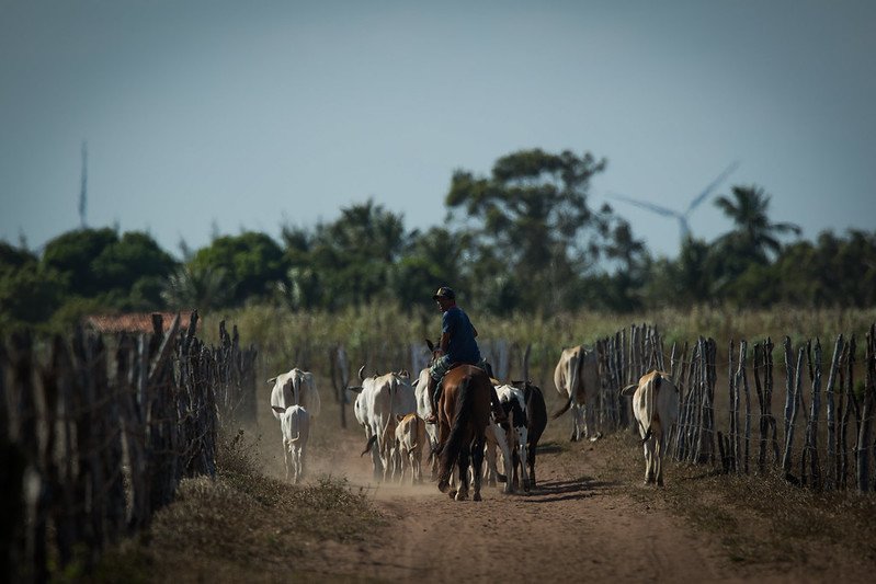 Agenda do agro: o que acontece no setor de segunda a sexta-feira