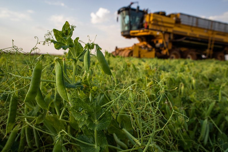 Agronegócio de São Paulo tem superávit de US$ 10 bilhões no primeiro semestre de 2023