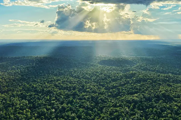 Floresta Amazônica: vista panorâmica das áreas preservadas do produtor Adão Ribeiro, em Jacundá (PA) (Mariana Grilli/Exame)