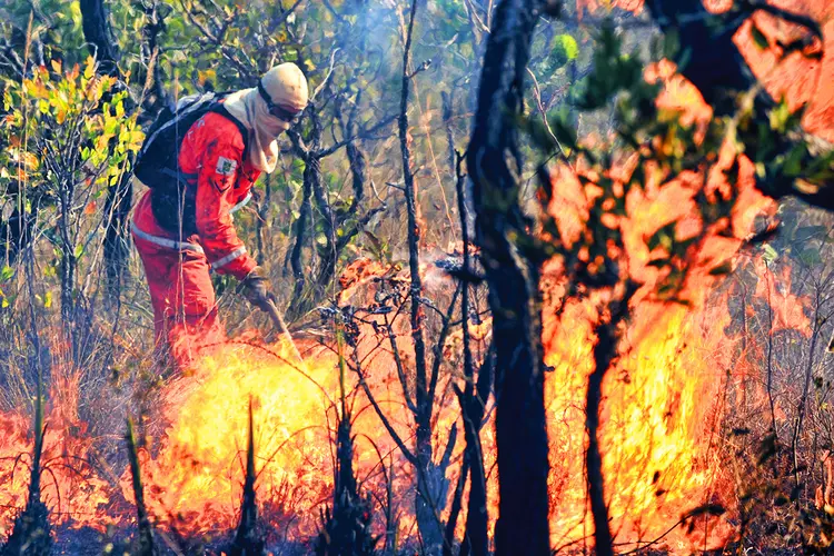 Incêndio: Mudanças climáticas e práticas de manejo destrutivas provocam incêndios florestais que, ao longo dos últimos anos, têm se tornado cada vez mais comuns (Evaristo Sa/AFP/Getty Images)