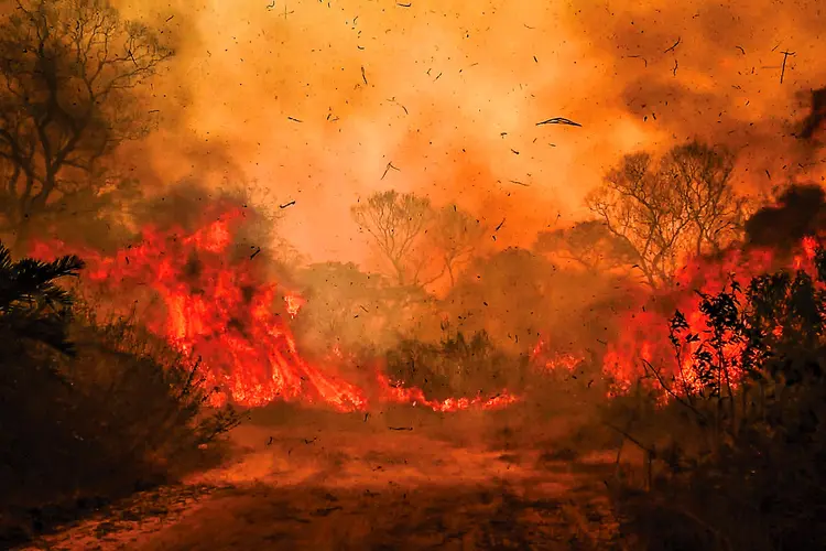 Pantanal: mais de 12% do bioma ficou destruído em 2020 no maior incêndio registrado na região. (Gustavo Basso/NurPhoto/Getty Images)