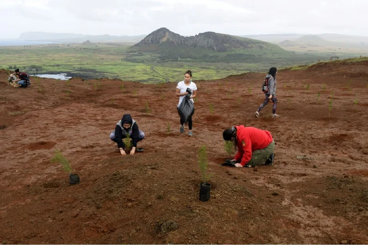 Chile: Ilha de Páscoa é chamada de Rapa Nui por seus habitantes (Agence France-Presse/AFP)