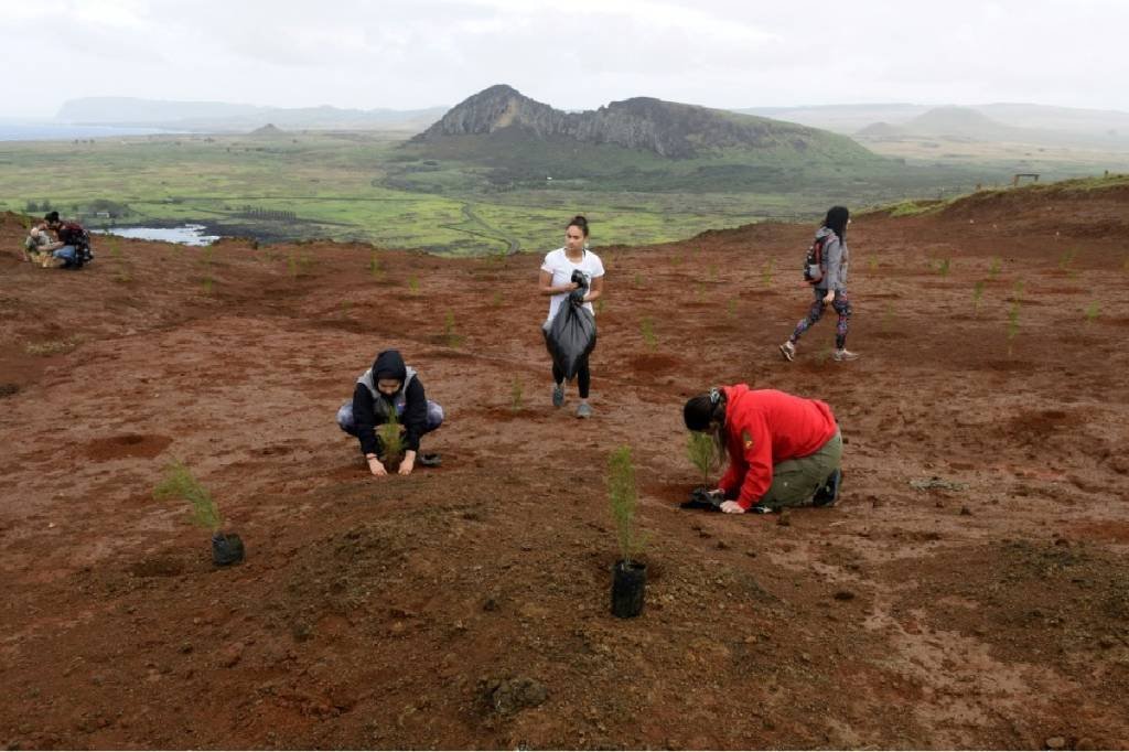 Ilha de Páscoa plantará 240 mil árvores para combater as mudanças climáticas