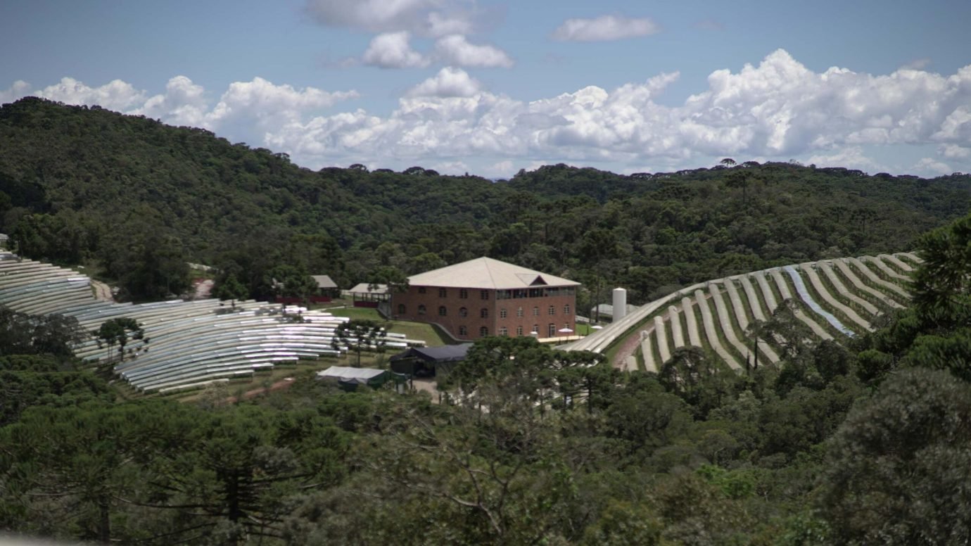 Vinícola da Mantiqueira lança clube de vinhos com rótulos premiados