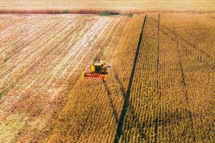 Opinião: Regulamentação de bioinsumos: caminho essencial para a segurança dessa tecnologia agrícola