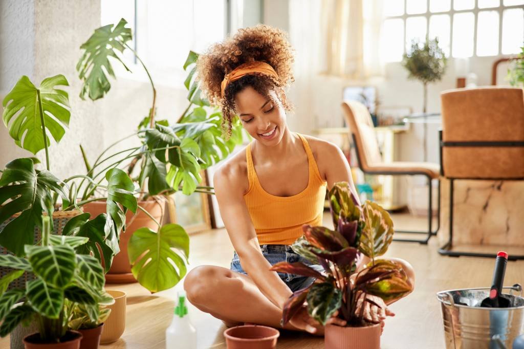 12 plantas para os cantinhos mais escuros da sua casa