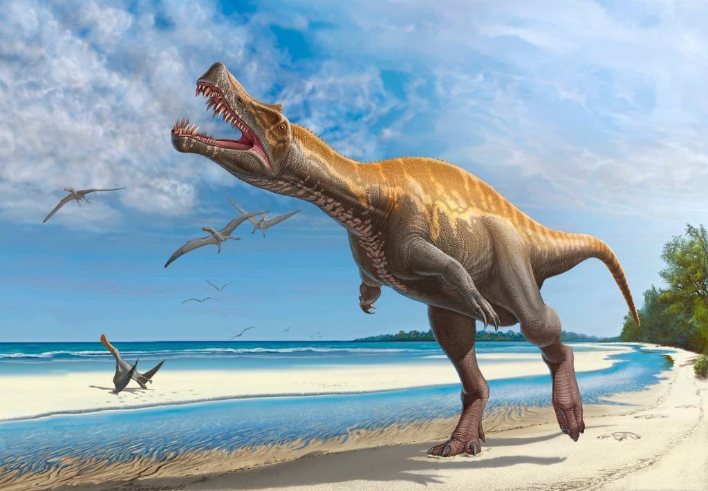 Cientistas pedem volta ao Brasil de fóssil de dinossauro contrabandeado para a Alemanha