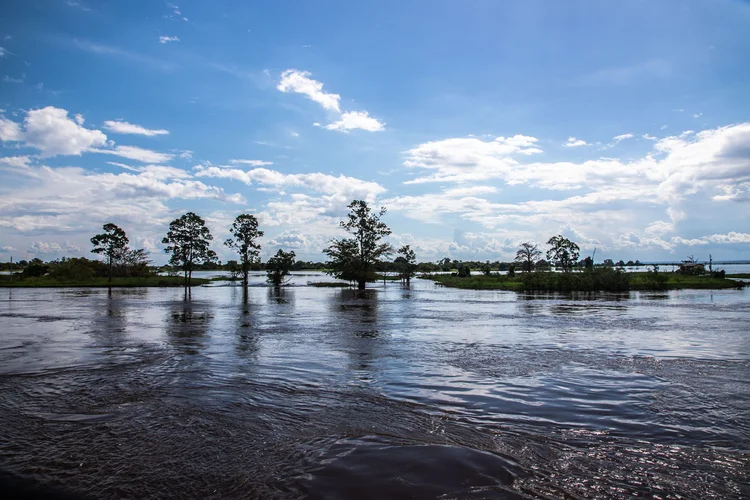 Amazônia: As novas formas de uso do solo são responsáveis por quase metade das emissões de gases brasileiras (Leandro Fonseca/Exame)