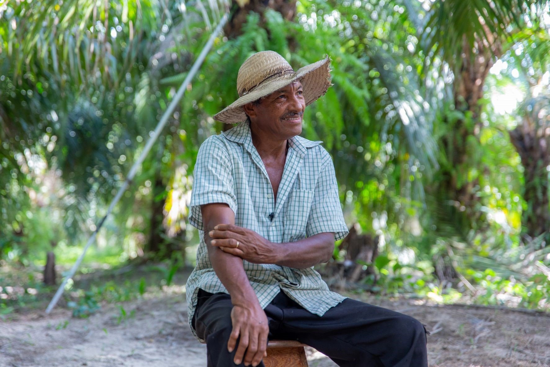 Dia Internacional da Agricultura Familiar - qual a importância para o Brasil?