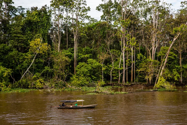 Floresta Amazônica (Leandro Fonseca/Exame)