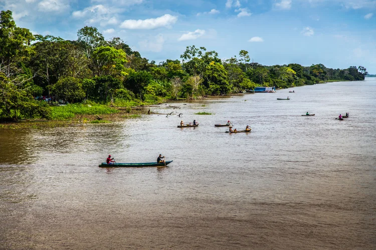 O projeto também inclui uma vertente ambiental significativa: o plantio de mais de 5 mil árvores (Leandro Fonseca/Exame)