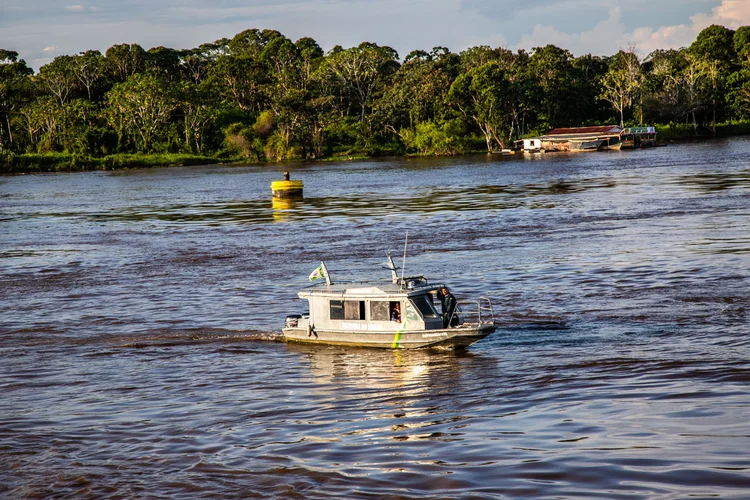 TFFF: fundo irá beneficiar países que conservam suas florestas tropicais (Leandro Fonseca/Exame)