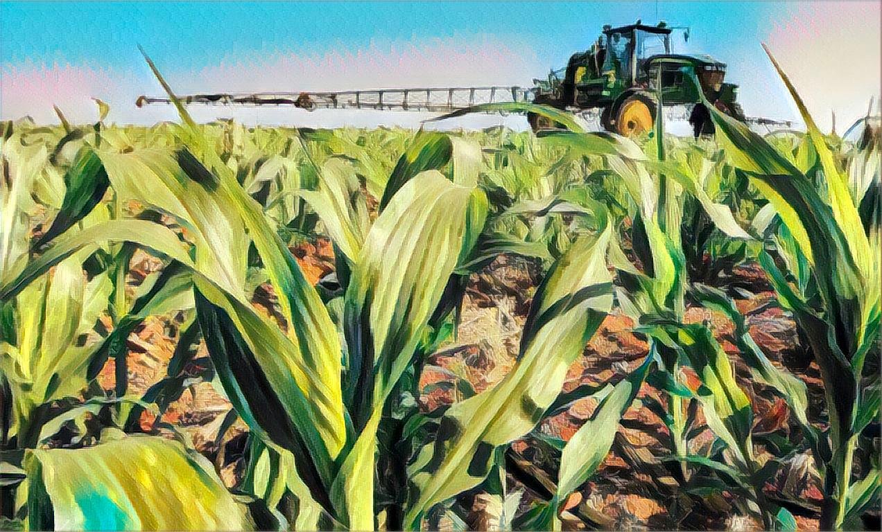 TerraMagna: fintech do agro tem carteira de crédito de R$ 1 bi e mira empréstimo de longo prazo