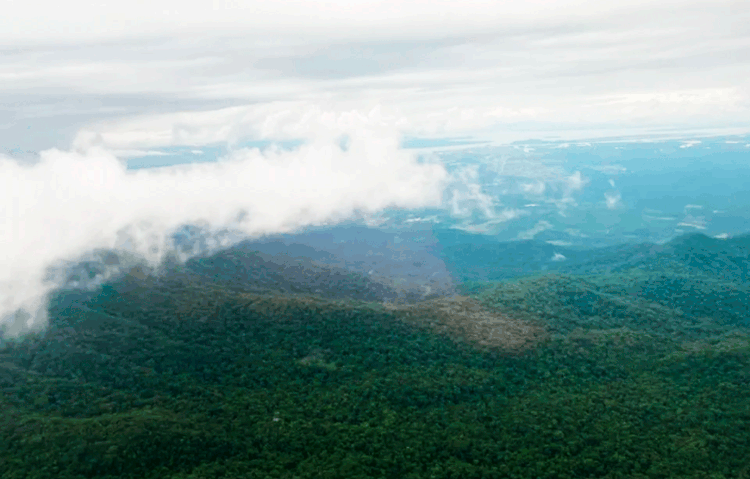 Serra do Mar do Paraná: buscas estão sendo concentradas em um região conhecida como São Leopoldo, cercada por Mata Atlântica.  (BPMOA/Divulgação)