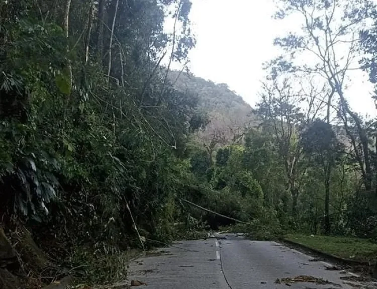 Petrópolis: Equipes do Corpo de Bombeiros e da Concer, concessionária responsável pela estrada, atuam no local (Divulgação/Divulgação)