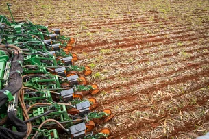 O agrônomo que ajudou a introduzir a soja no Brasil – e foi o primeiro japonês a ser doutor no país