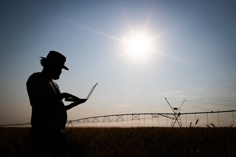 Comunicações renova contrato com Telebras por R$ 3 bi para conexão por satélite, incluindo o campo