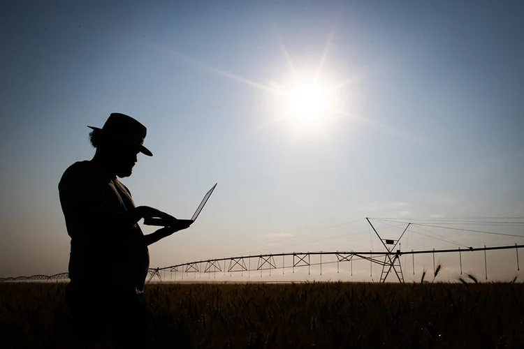 Seguro rural: ao considerar todas as modalidades, o produto cresceu 10,2% no primeiro semestre do ano, arrecadando R$ 6,2 bilhões (CNA/Senar/Divulgação)