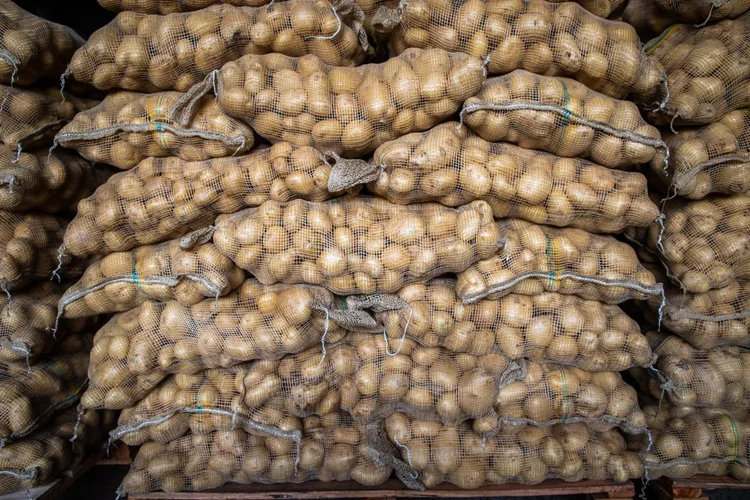 As frutas tiveram alta no mês de agosto nas Ceasas analisadas (CNA/Senar/Divulgação)