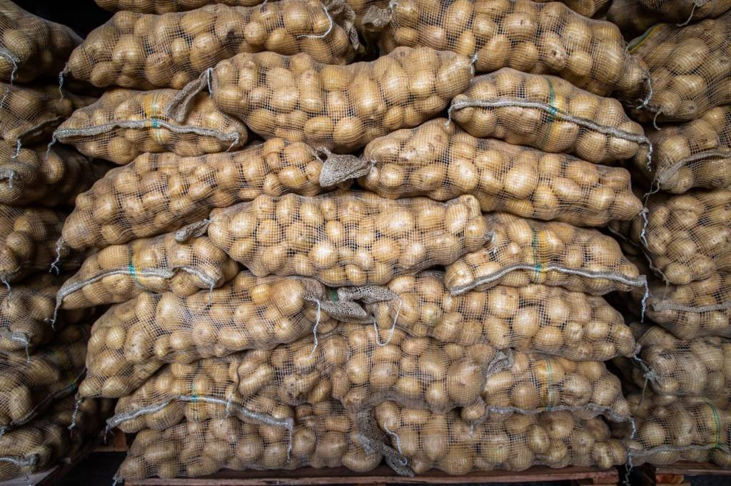 Mercado mais barato? Preços das hortaliças registram queda no atacado em agosto, mostra Conab