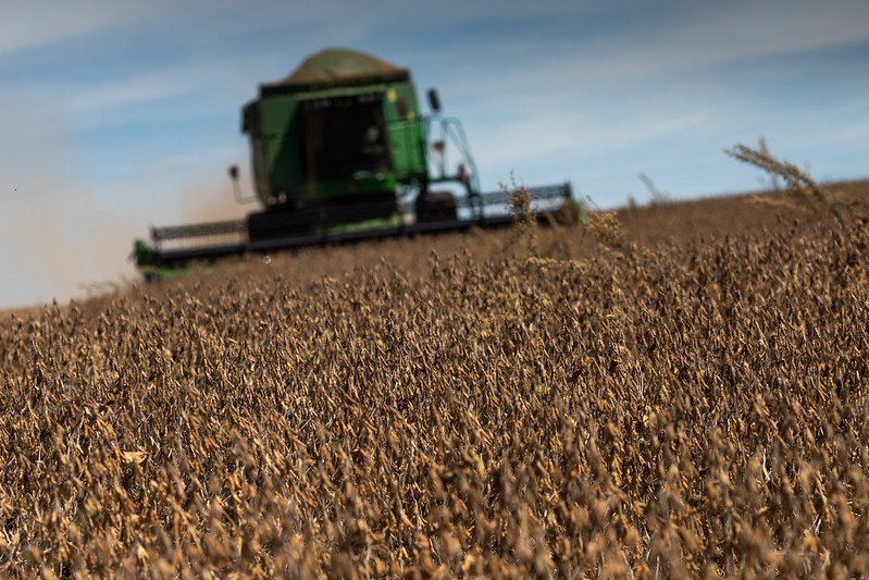 Colheita de soja: IMEA estima que área plantada no Mato Grosso tenha aumento de 0,82%, para 12,22 milhões de hectares, na safra 2023/24 (CNA/Senar/Divulgação)