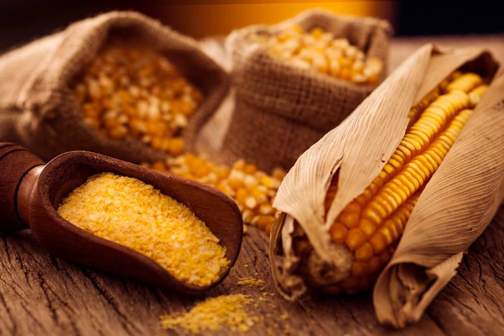 O que está por trás da safra recorde de milho no Brasil