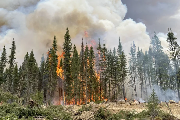 Canadá: incêndios resultaram de uma alta recorde de temperaturas, baixa umidade e derretimento precoce da neve (Frederic Chouinard/Getty Images)