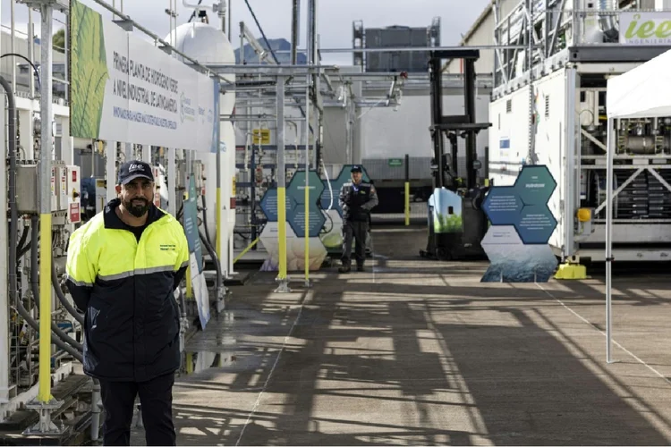 A usina produzirá hidrogênio verde para as baterias dos guindastes dos supermercados Wallmart no Chile (Agence France-Presse/AFP)