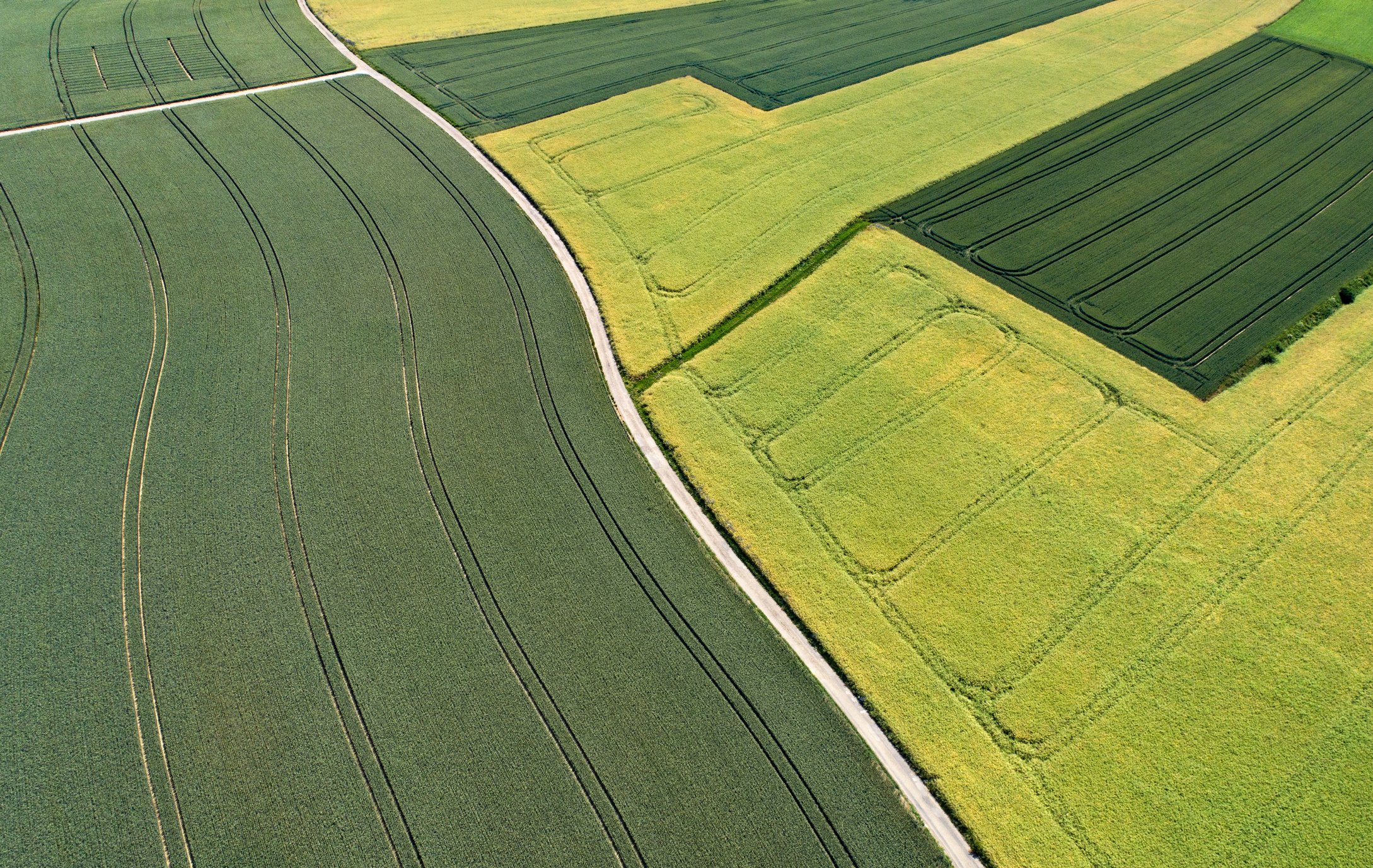 PAC terá para o agro cerca de R$ 1 bi a estruturas da Embrapa e 50 mil km de estradas vicinais