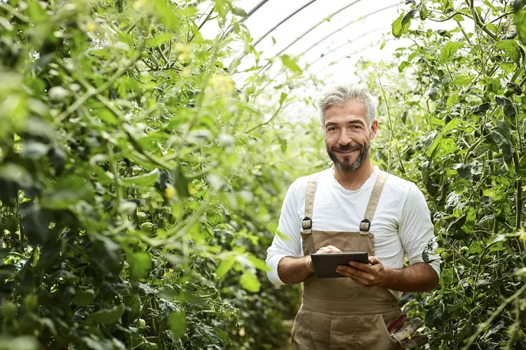 Economia Verde: modelo econômico mais sustentável está transformando os negócios e abrindo grandes oportunidades profissionais, com salários que podem chegar a R$ 35 mil no Brasil (Morsa Images/Getty Images)