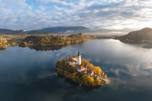 Imagem referente à matéria: Aos 62 anos, Mary Catherine é animal mais velho do maior lago de água doce do mundo; saiba a espécie