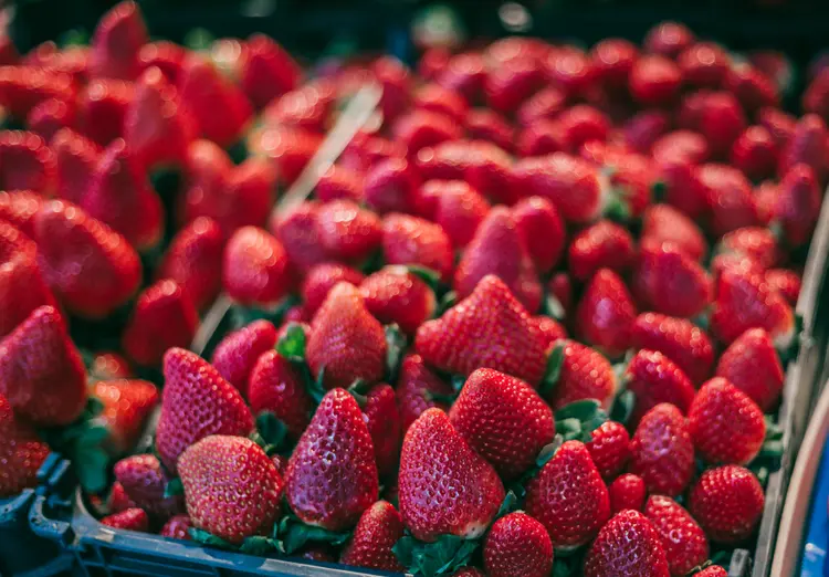 Morangos: Atibaia é região produtora da fruta. (Carol Yepes/Getty Images)