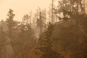 Imagem referente à matéria: Bolívia está à beira de “catástrofe ambiental” causada por incêndios incontroláveis