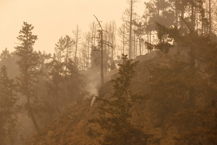 Incêndio: florestas do Canadá sofrem mesmo no inverno (Cole Burston/Getty Images)