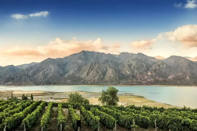 Mendoza: região na Argentina é famosa pela produção de vinhos  (Edsel Querini/Getty Images)