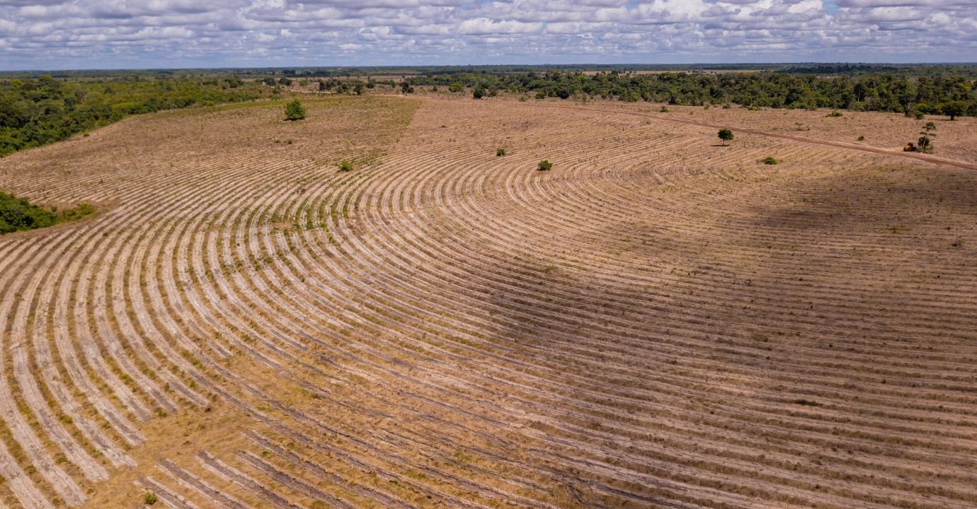 Para a COP28, Brasil apostará na recuperação de pastagens e integração lavoura-pecuária