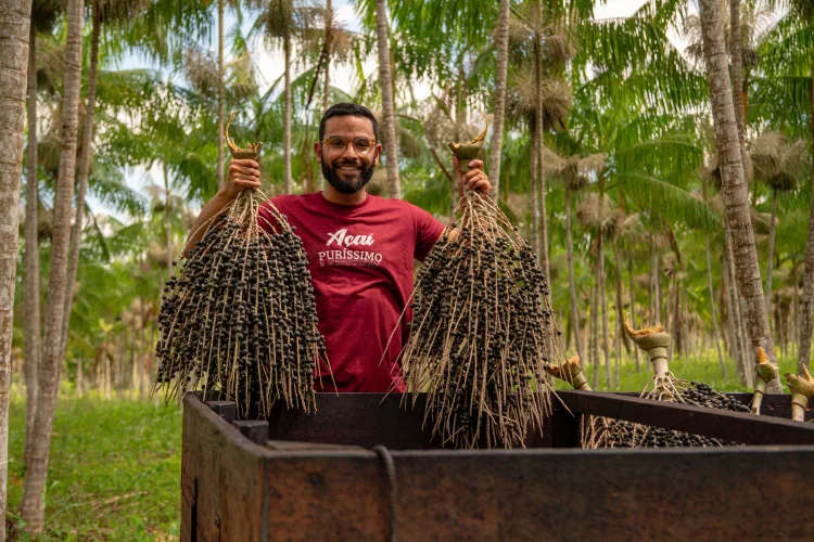 Cayo Costa, da Açaí Puríssimo: empresa foi vendida a grupo dono de fazenda de 1.400 hectares de açaí que quer entrar no varejo (Açaí Puríssimo/Divulgação)