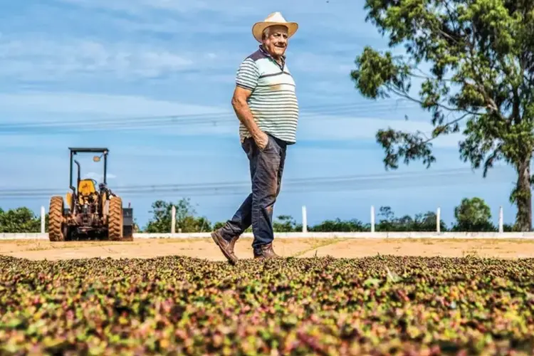 Produtores terão até 1% de redução na taxa de juros se tiverem o Cadastro Ambiental Rural analisado e optarem por práticas sustentáveis (Leandro Fonseca/Exame)