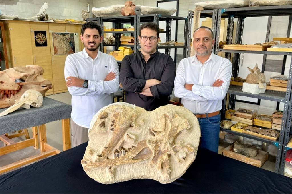 Egito descobre uma das baleias extintas mais antigas da África