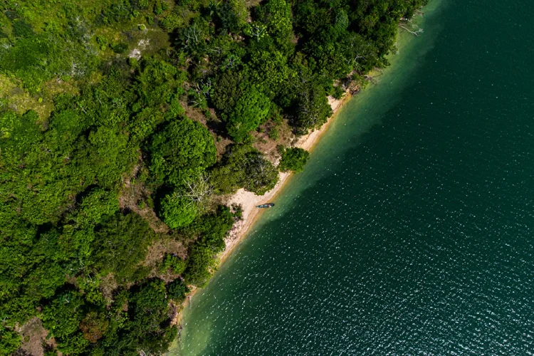 Petrobras: discussão sobre exploração de petróleo na Foz do Amazonas em meio a críticas ao Ibama (Lucas Ninno/Getty Images)