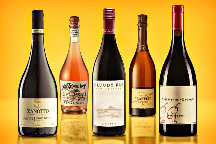 Pinot Noir: uva é uma das mais usadas no mundo. (Divulgação/Divulgação)