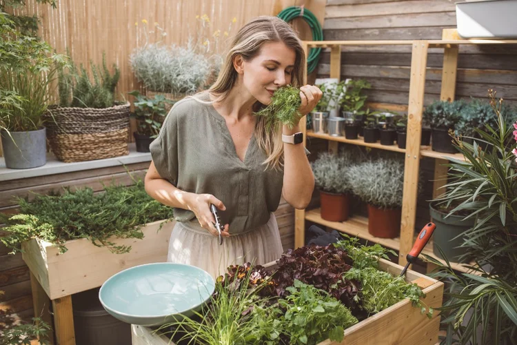 Plantas: ervas e temperos adequados variam de acordo com a região (svetikd/Getty Images)