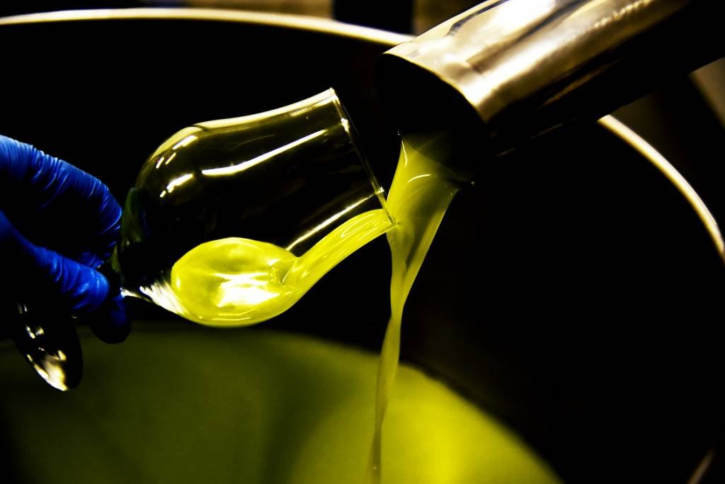 Conheça as 12 empresas de azeite de oliva do Brasil selecionadas entre as 500 melhores do mundo