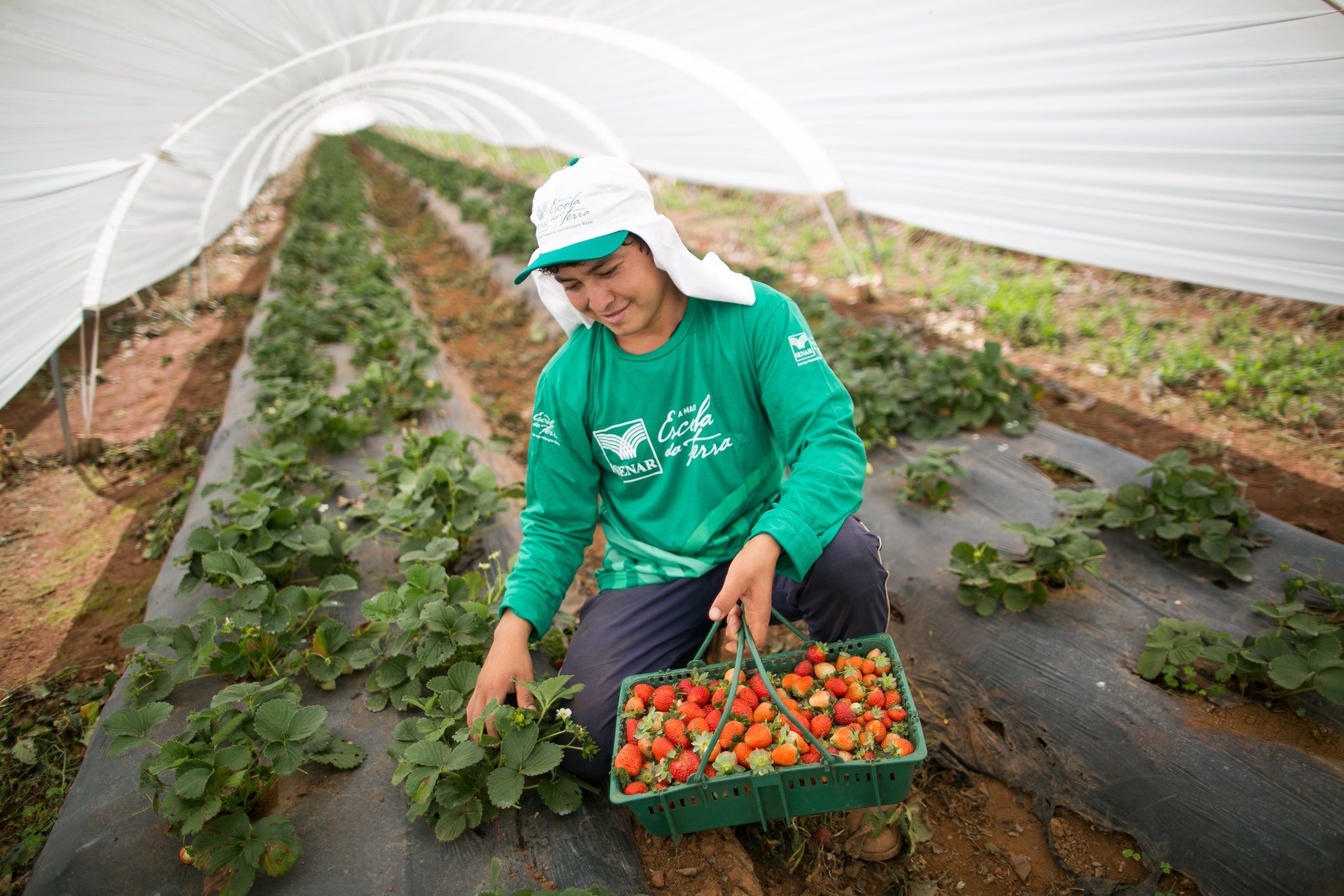 PIB do Agronegócio avança no trimestre e deve ultrapassar R$ 2,6 trilhões em 2023
