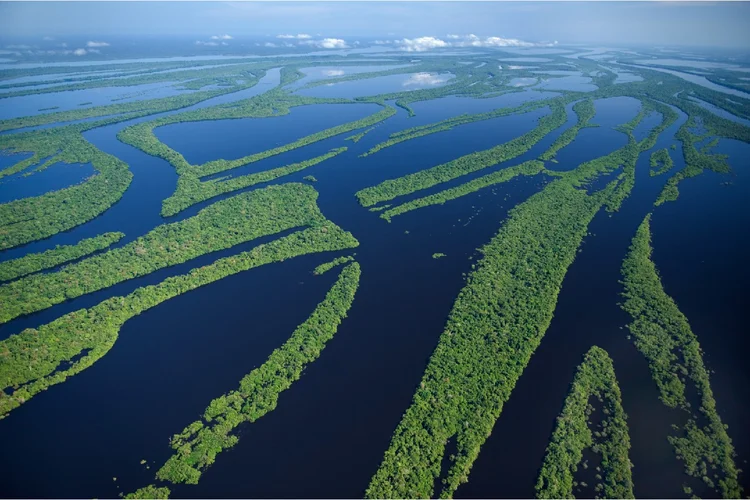 Amazônia: região é ameaçada por crimes ambientais (Kevin Schafer/Getty Images)