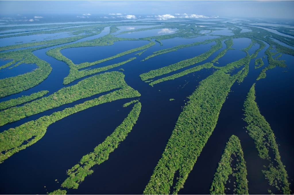 Petrobras pode entregar estudos sólidos para exploração do Foz do Amazonas, diz Presidente do Ibama