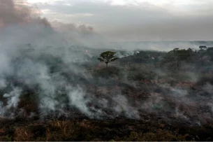 Extremos de temperatura e umidade podem alterar emissão e captação de metano na Amazônia