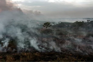 Imagem referente à matéria: Extremos de temperatura e umidade podem alterar emissão e captação de metano na Amazônia