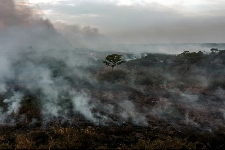 Amazônia: Incêndio florestal no estado do Mato Grosso (Agence France-Presse/AFP)