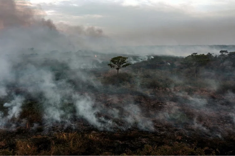 Amazônia: Incêndio florestal no estado do Mato Grosso (Agence France-Presse/AFP)